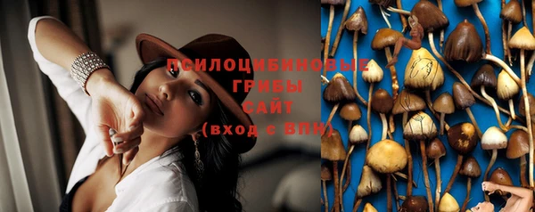 шишки Нефтегорск